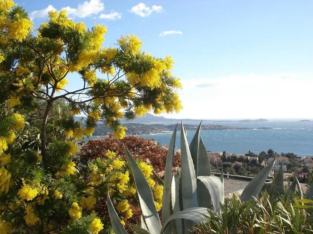 T2 Bandol Ideal Vacances 2 Etoiles 0*,